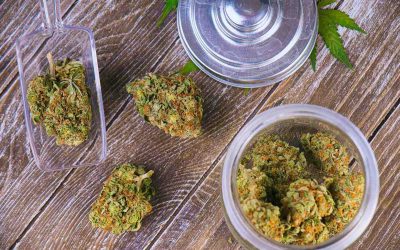 The Importance of Websites for Dispensaries