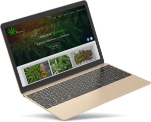 A website portfolio for a dispensary website design